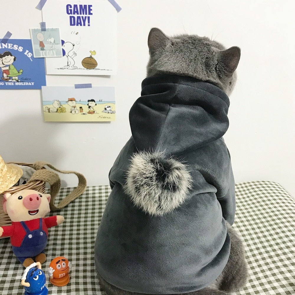 Cool Hood Clothes for Cats