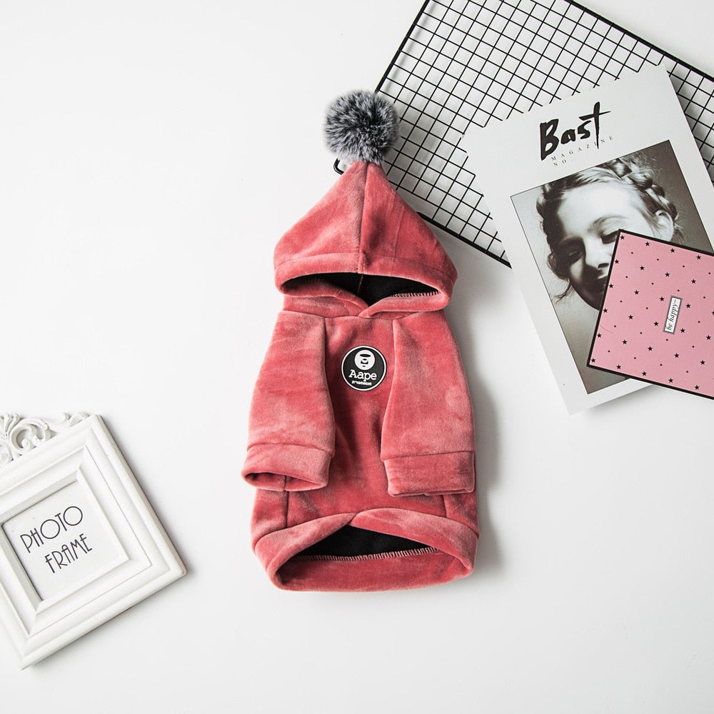 Cool Hood Clothes for Cats