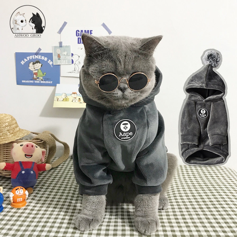 Cool Hood Clothes for Cats