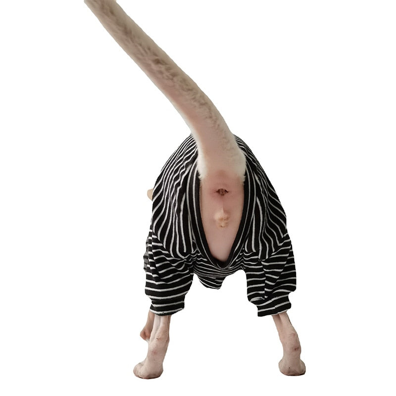 Cool Sphynx Cat Clothes