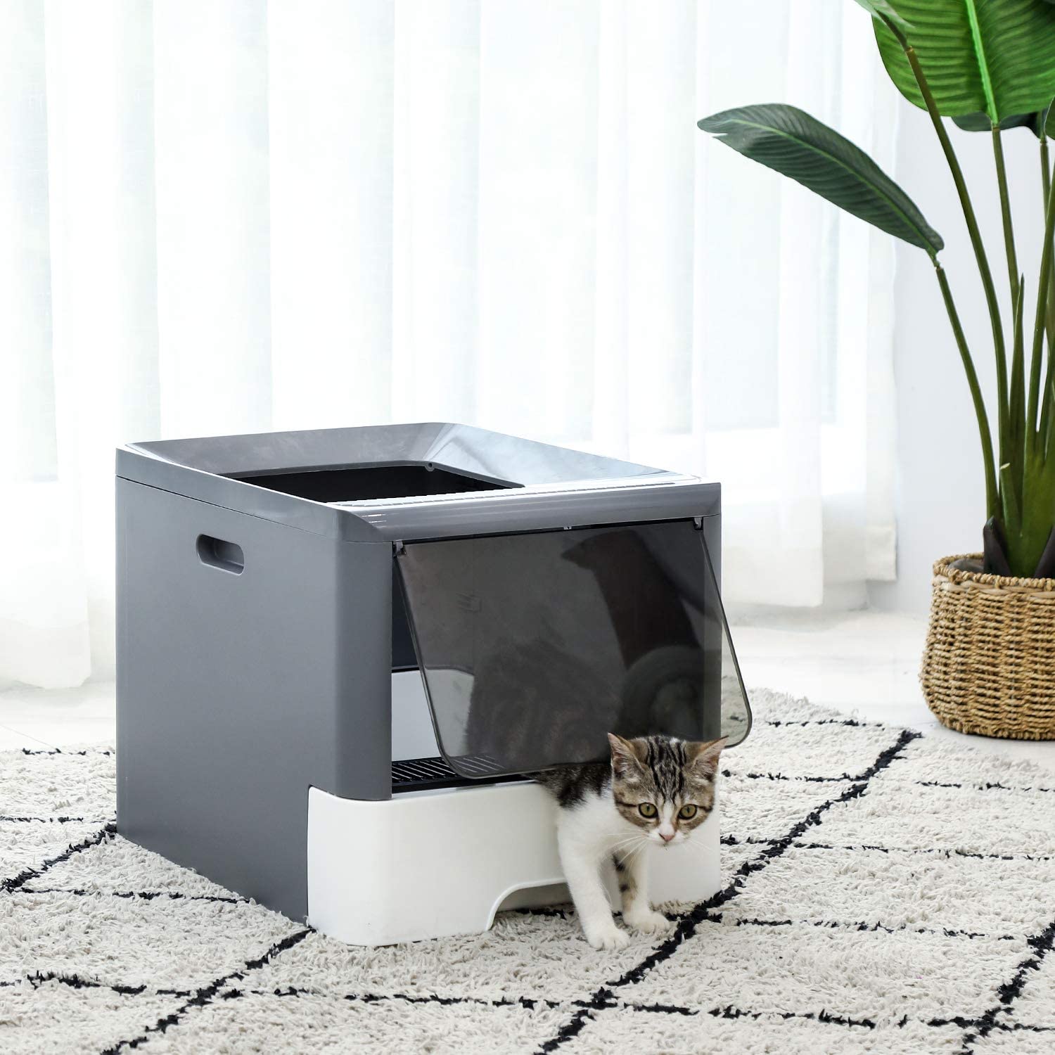 Covered Cat Litter Box