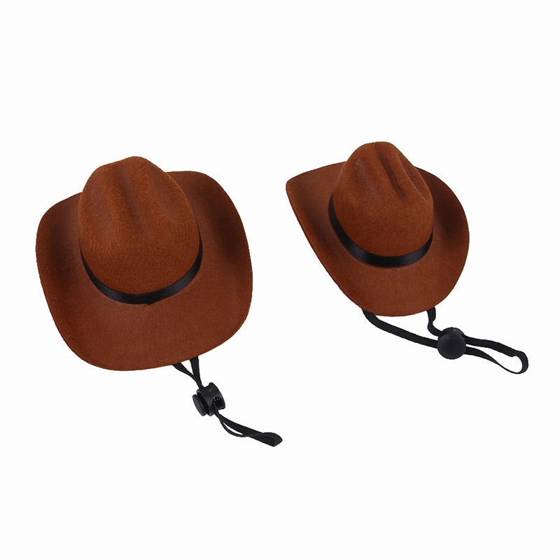 Cowboy Hats for Cats