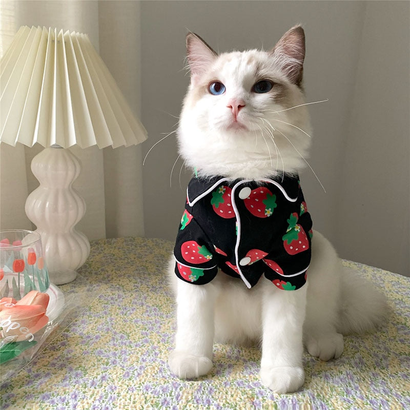Cozy Cat Clothes