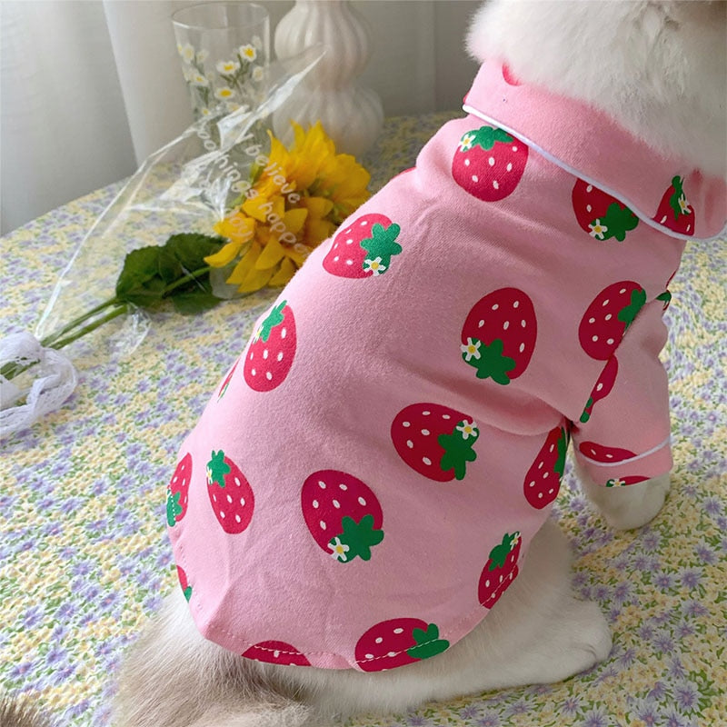 Cozy Cat Clothes