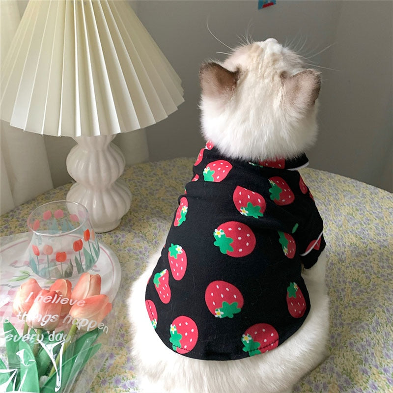 Cozy Cat Clothes