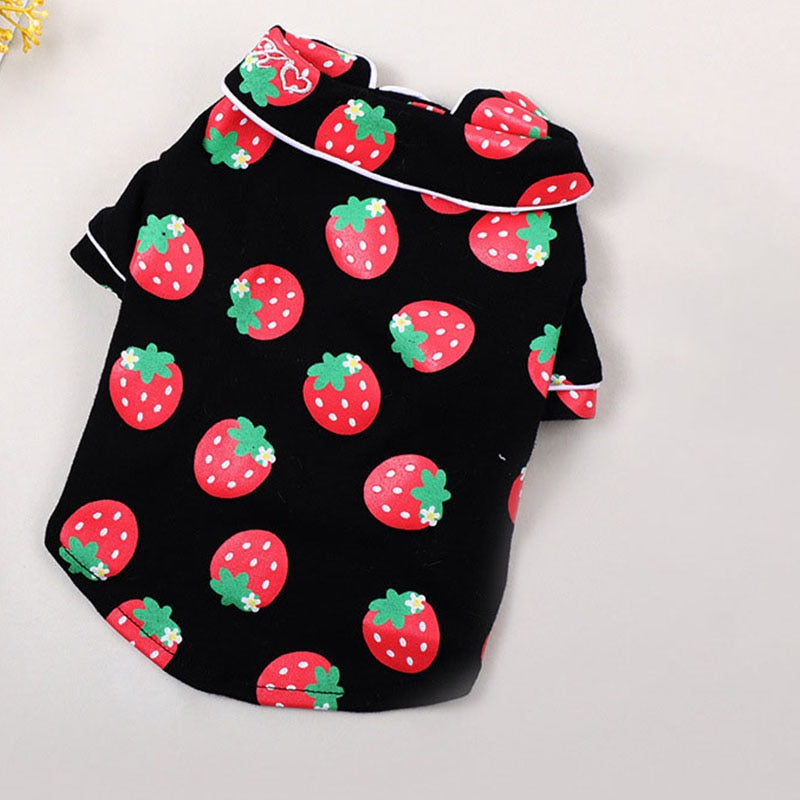 Cozy Cat Clothes