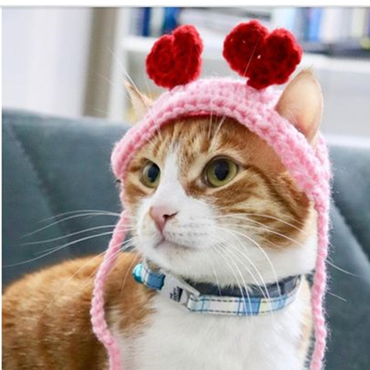 Crochet Beanie for Cat