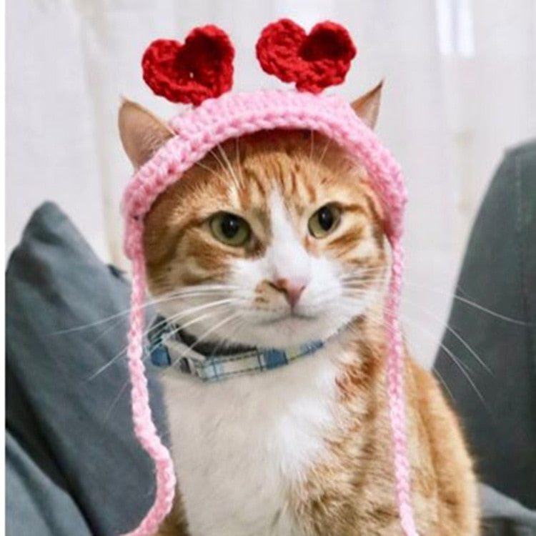 Crochet Beanie for Cat