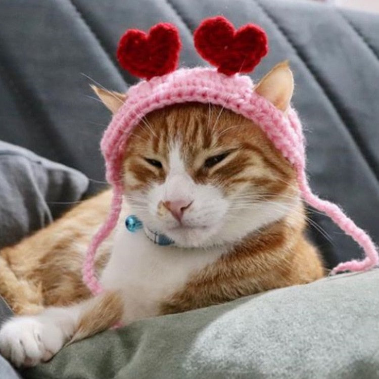 Crochet Beanie for Cat
