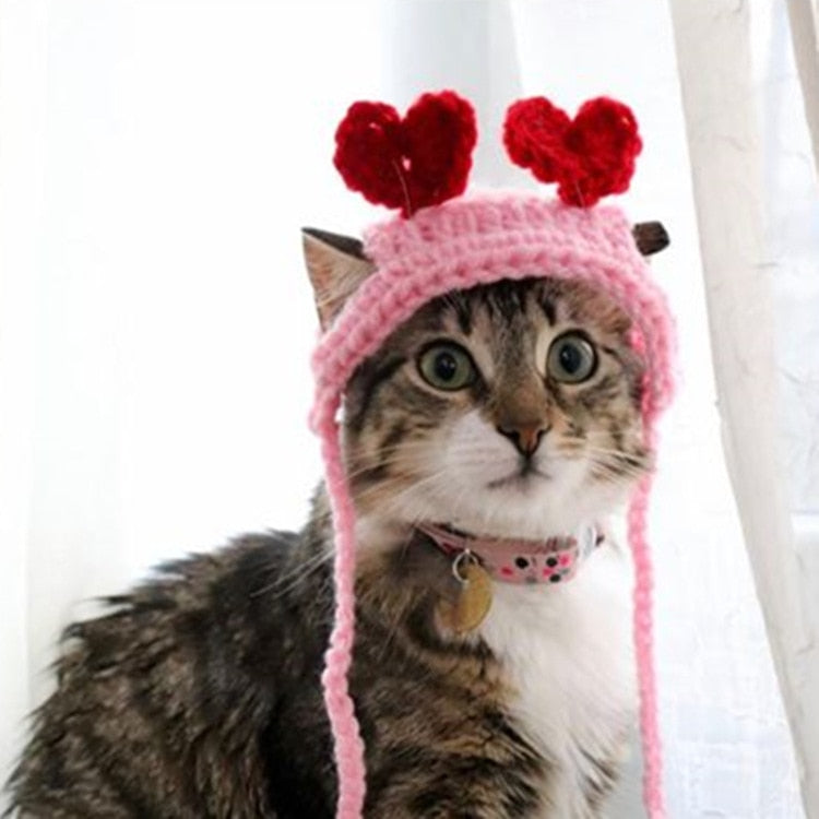 Crochet Beanie for Cat