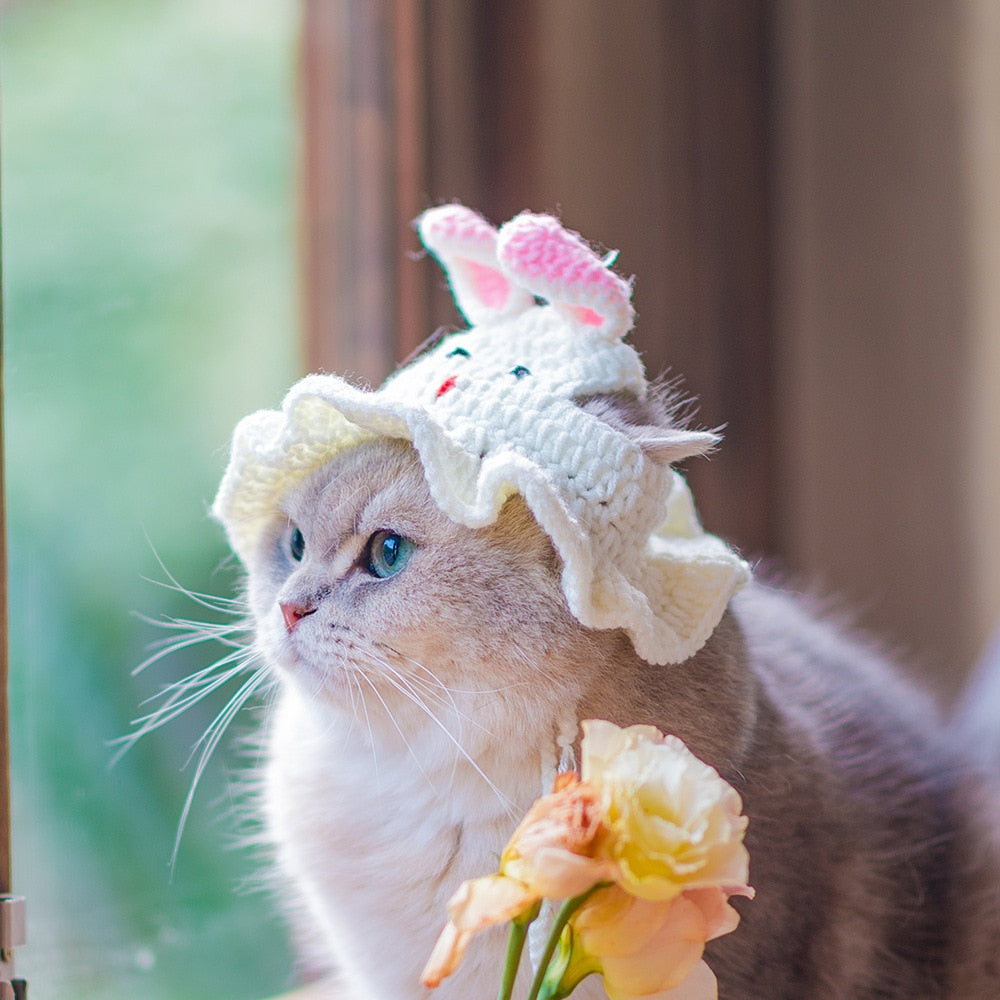 Crochet Cat Beanie