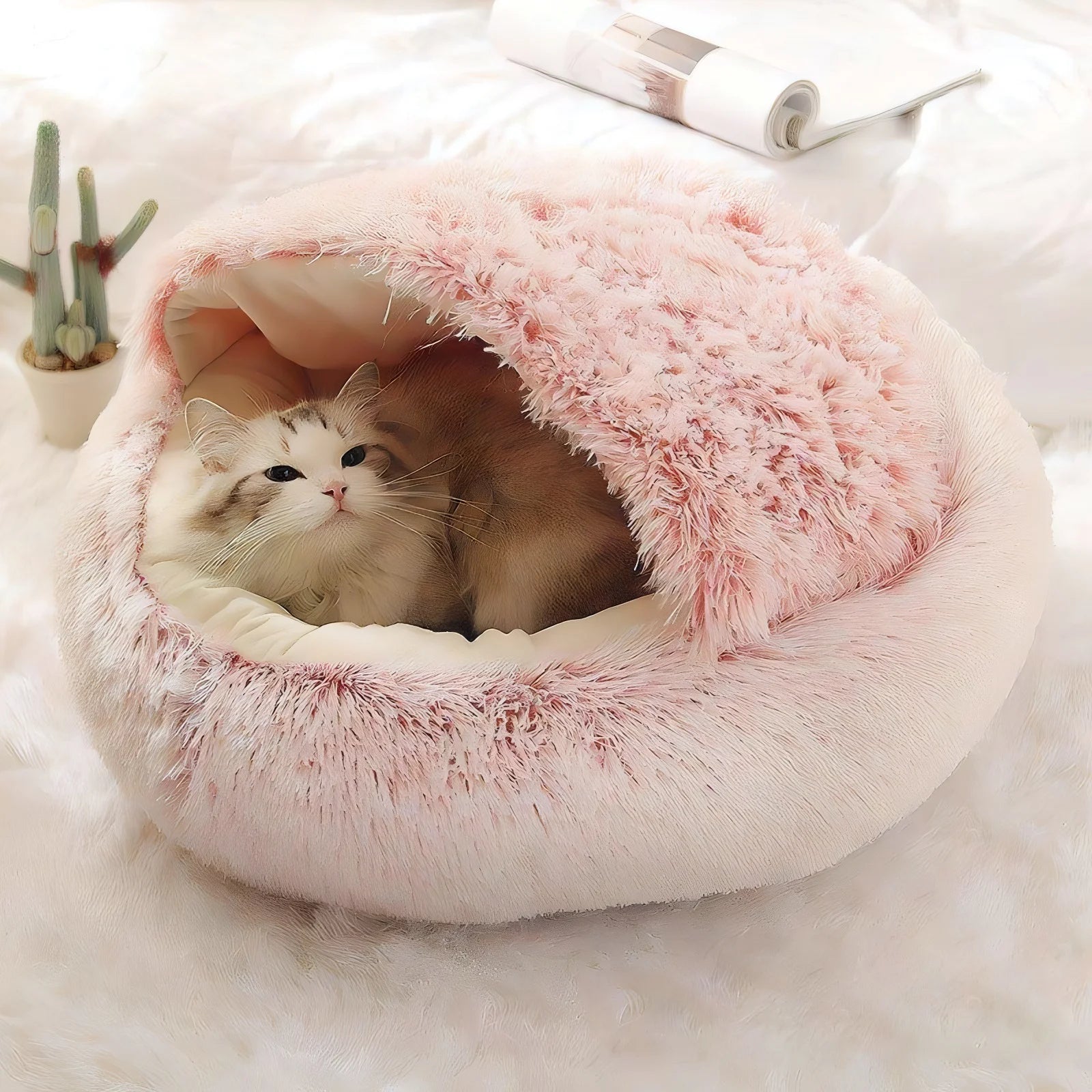 Cucce per gatti comode e morbide – letti gatto, cucce chiuse, cucce igloo e rifugi per il riposo del gatto
