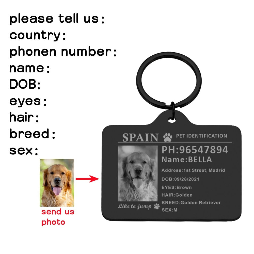 Custom Pet ID Tags