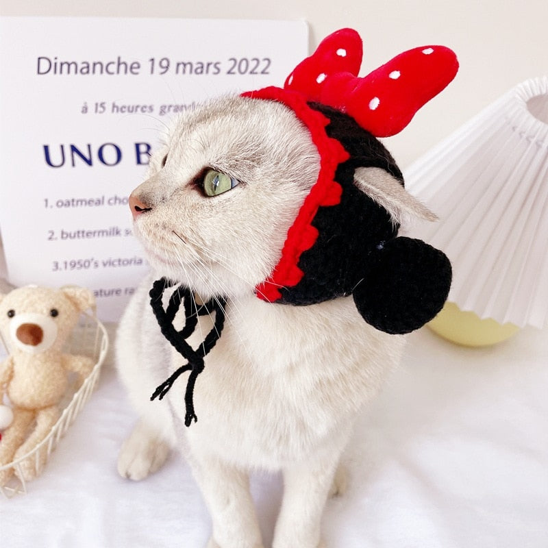 Cute Beanie Hat for Cats