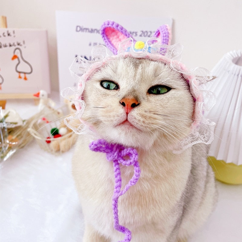 Cute Beanie Hat for Cats