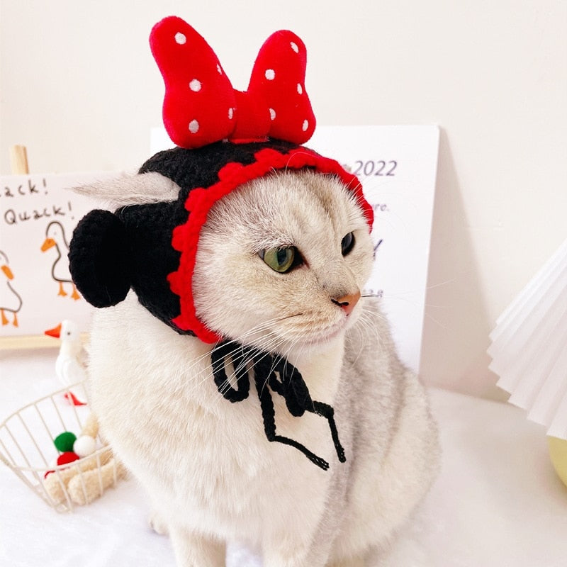 Cute Beanie Hat for Cats