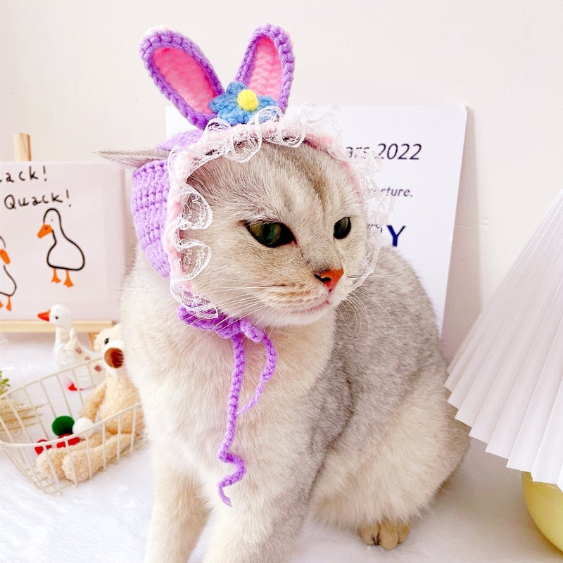 Cute Beanie Hat for Cats