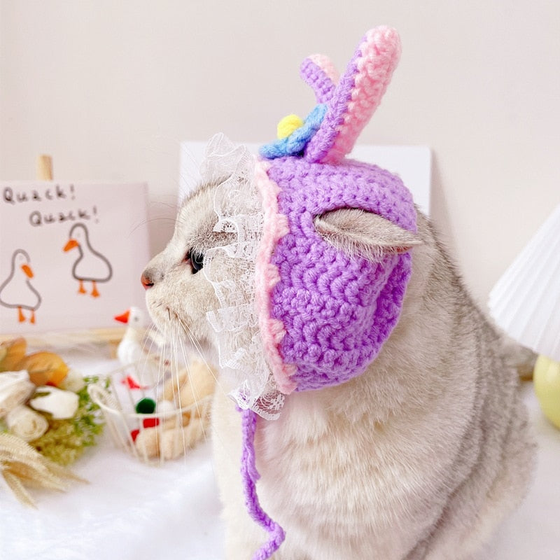 Cute Beanie Hat for Cats