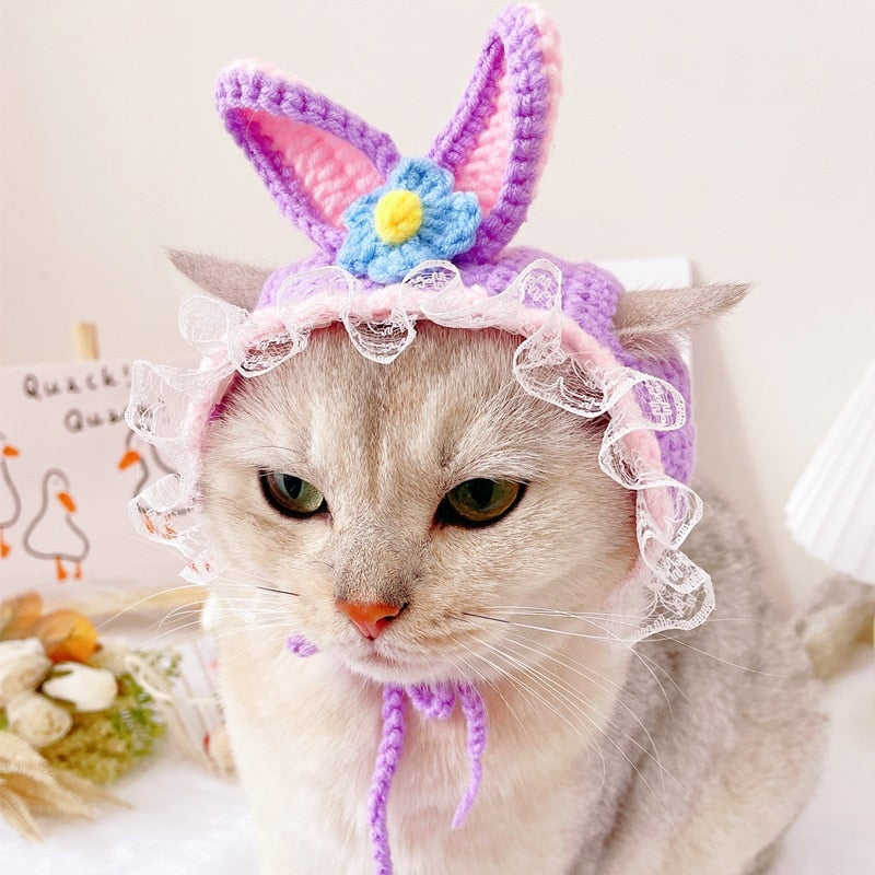Cute Beanie Hat for Cats