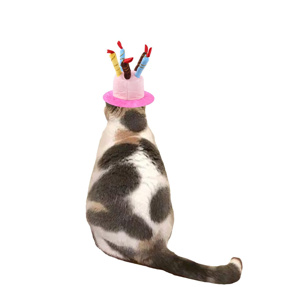 Cute Birthday Hat for Cats