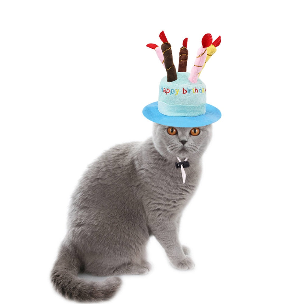 Cute Birthday Hat for Cats