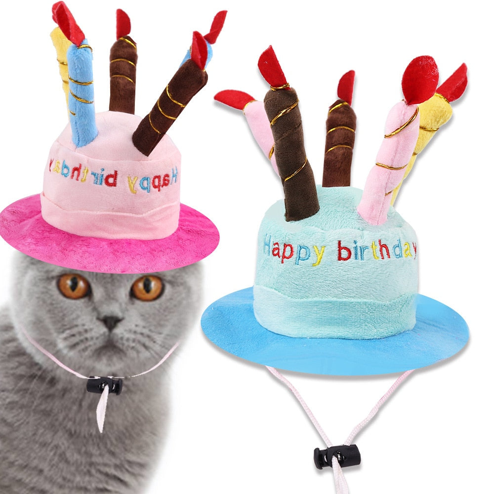Cute Birthday Hat for Cats
