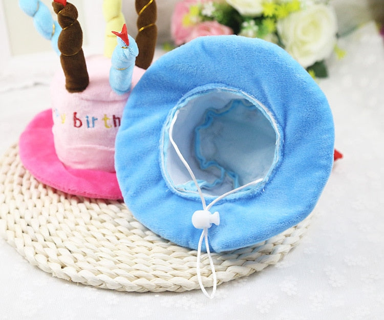 Cute Birthday Hat for Cats