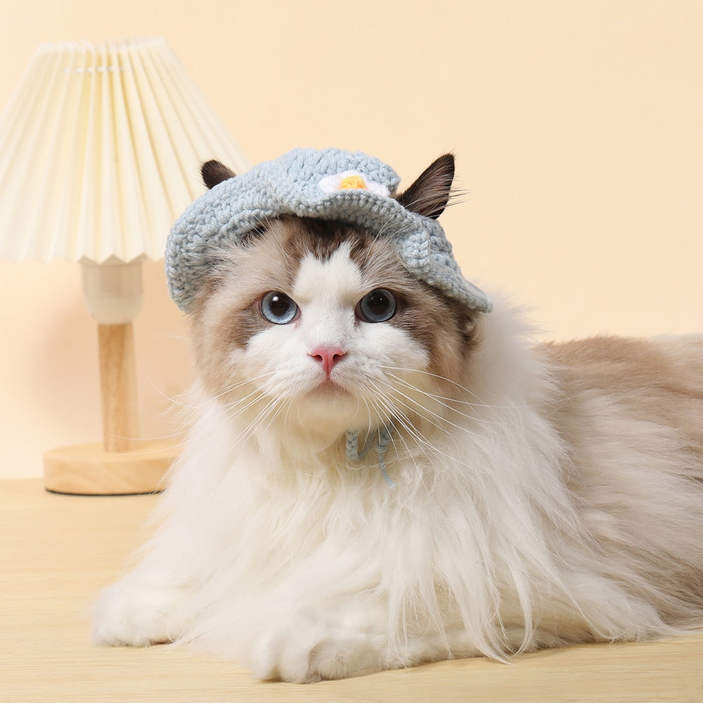 Cute Bucket Hat for Cats