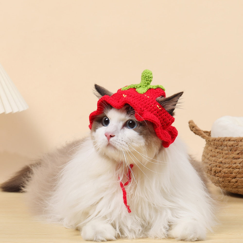 Cute Bucket Hat for Cats