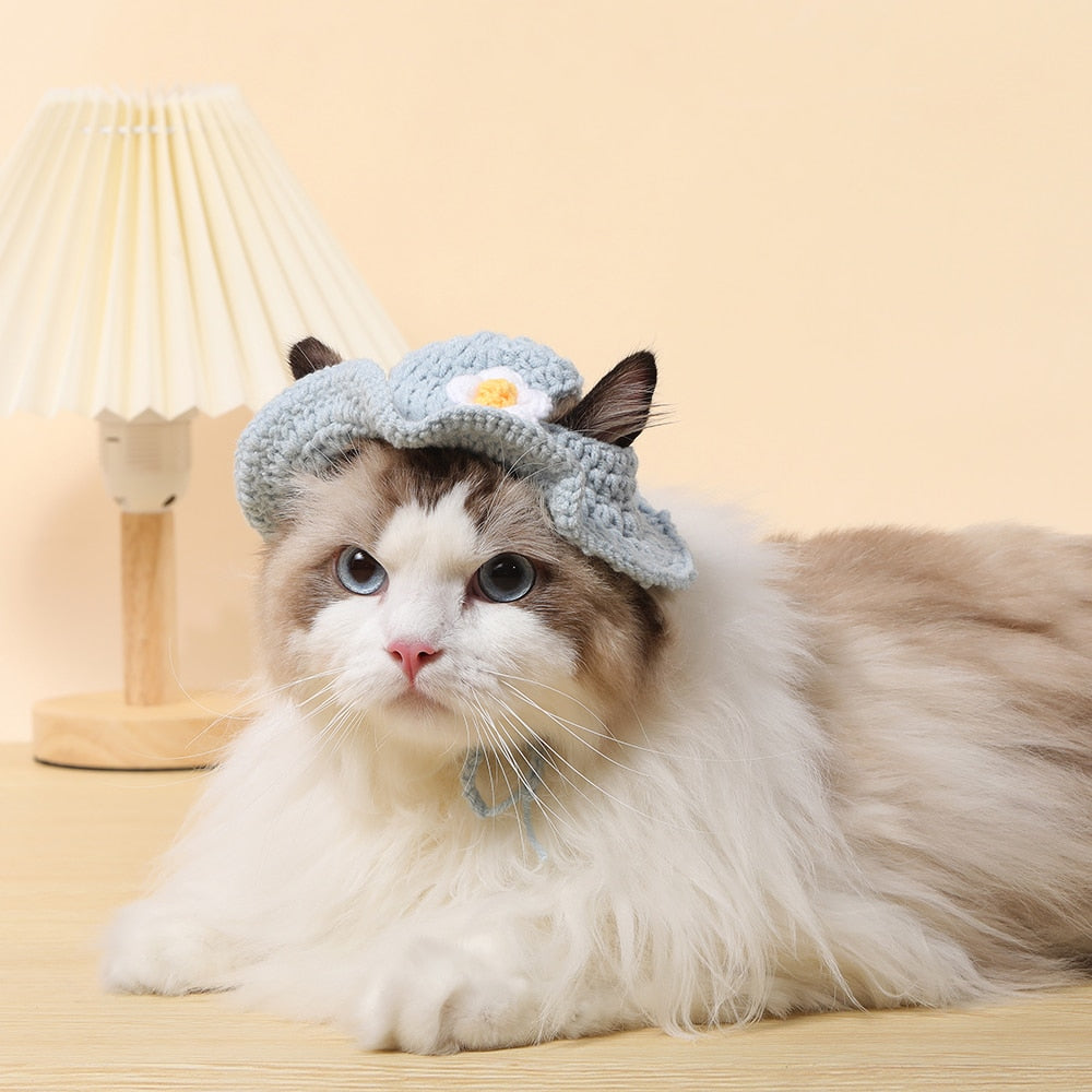 Cute Bucket Hat for Cats