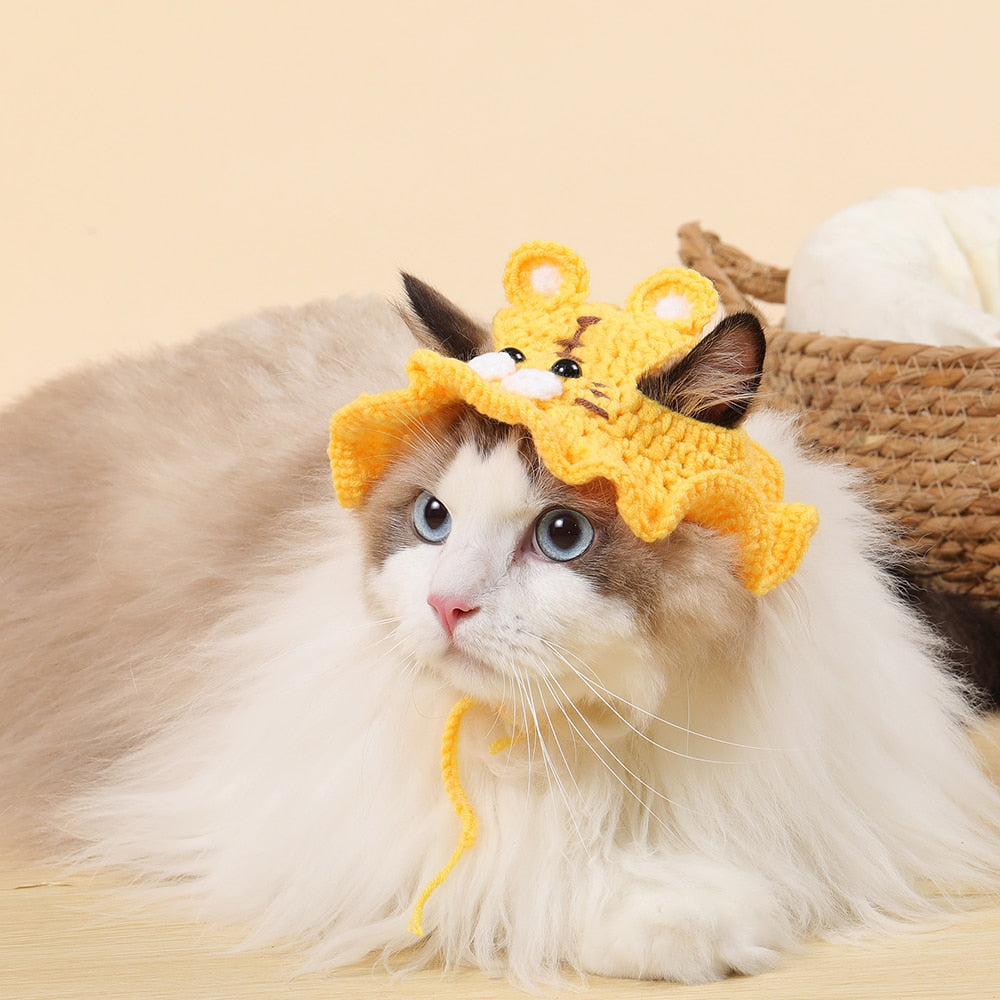 Cute Bucket Hat for Cats