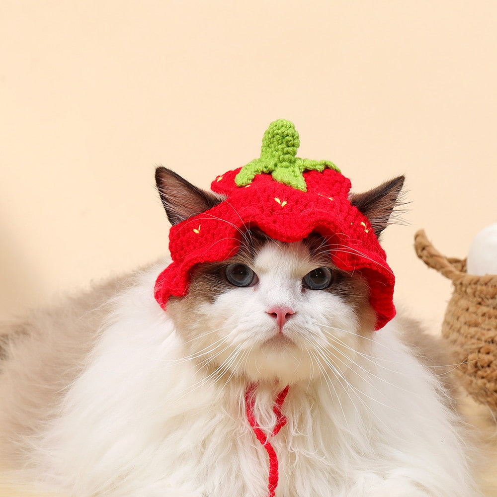 Cute Bucket Hat for Cats