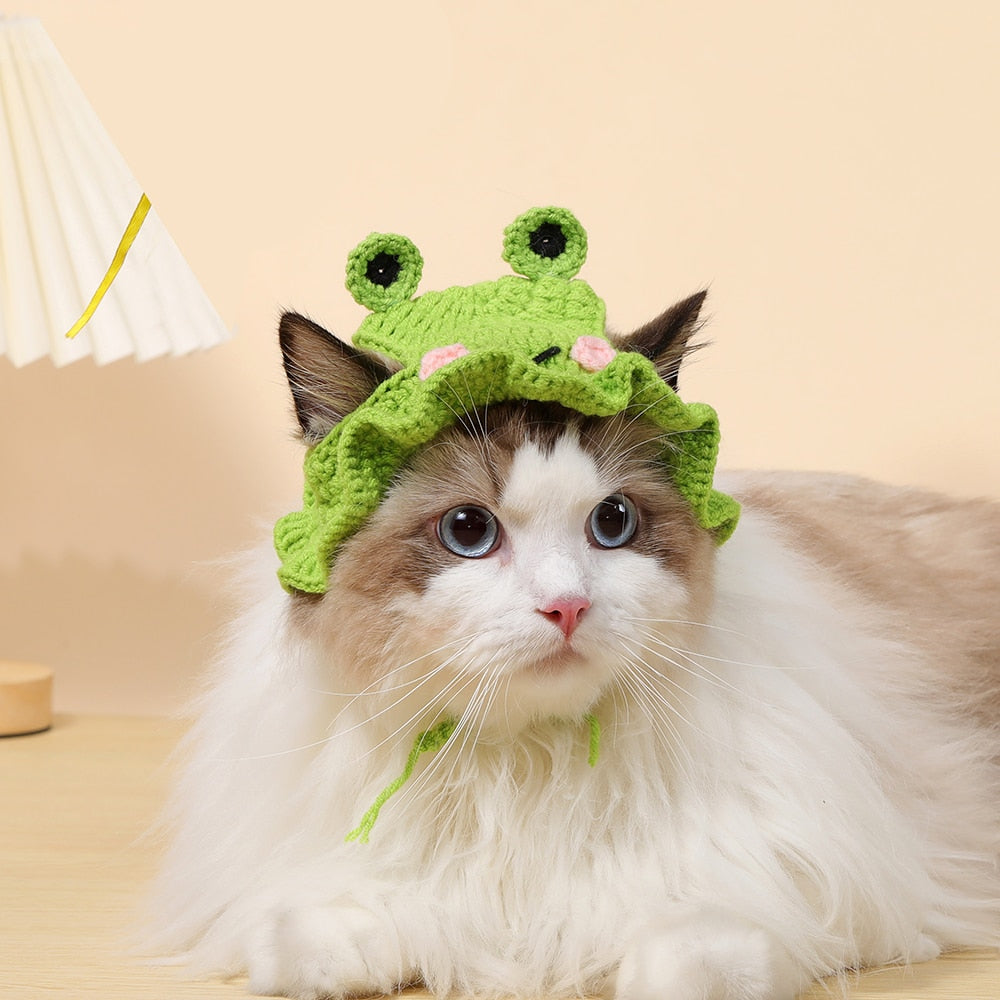 Cute Bucket Hat for Cats