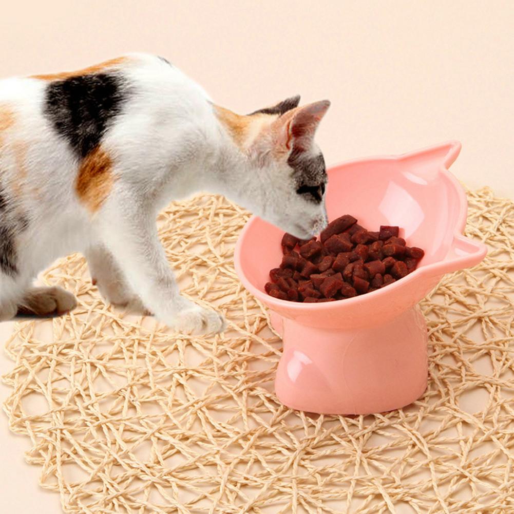 Cute Cat Food Bowls