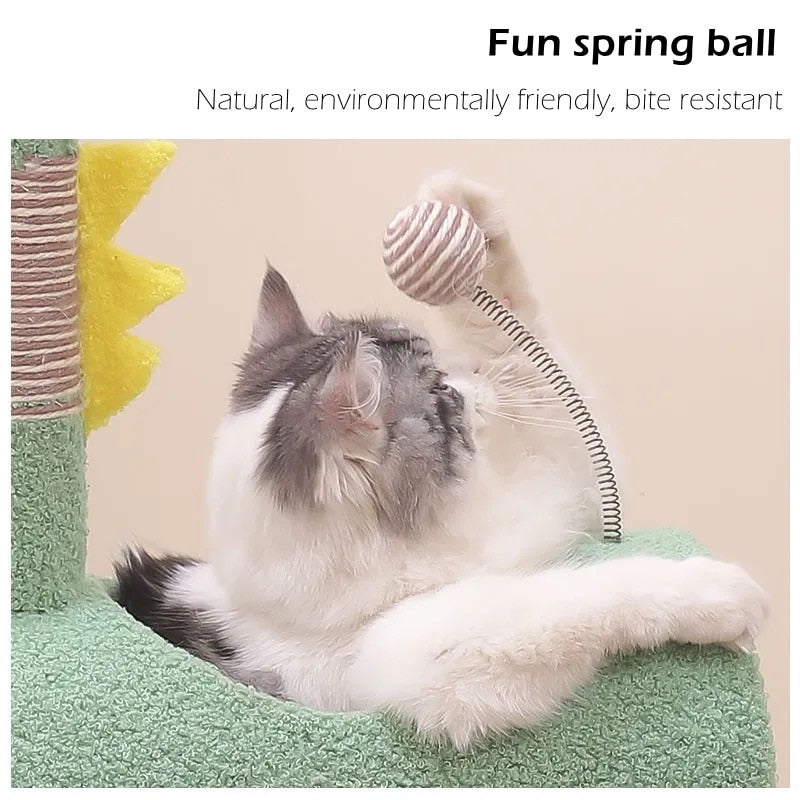 Cute Cat Scratcher Post