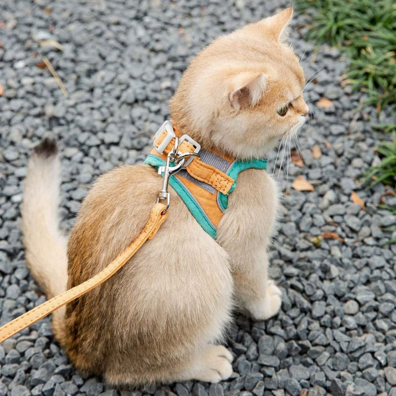 Cute Cat Vest Harness