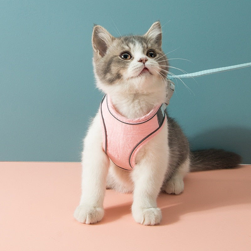 Cute Cat Vest Harness