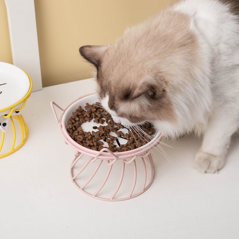 Cute Ceramic Cat Bowl