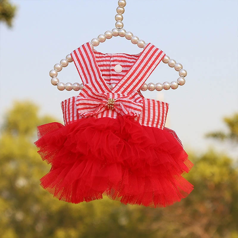Cute Dress Cat Clothes