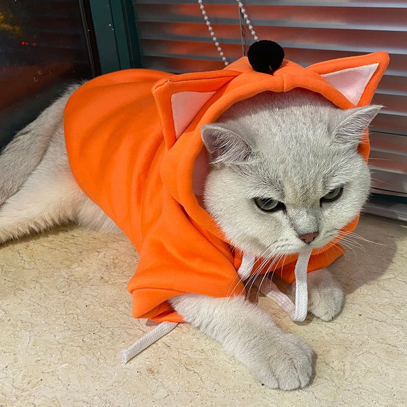 Cute Hoodie Clothes for Cats