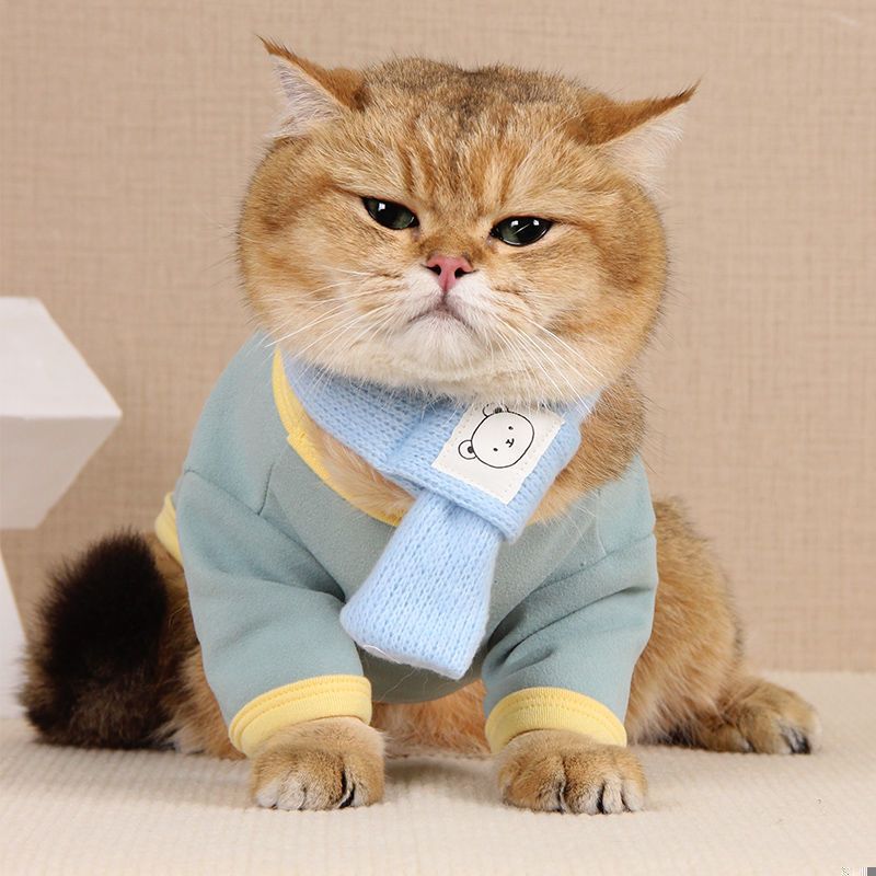 Cute Jacket Clothes for Cats