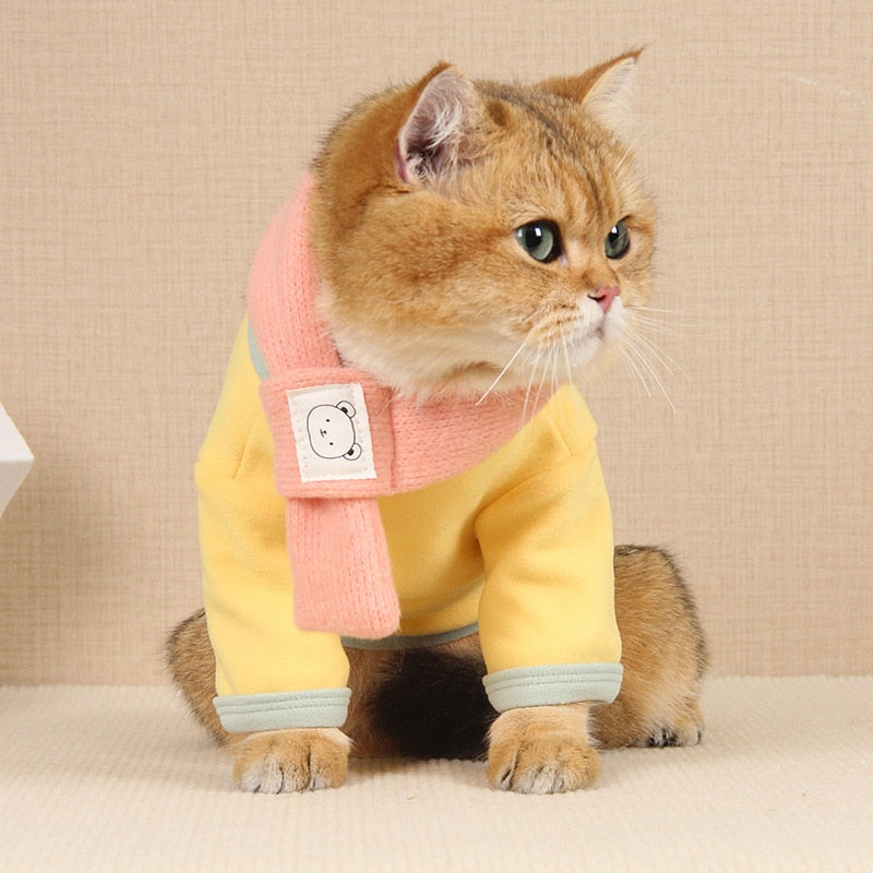 Cute Jacket Clothes for Cats