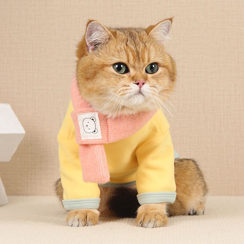 Cute Jacket Clothes for Cats