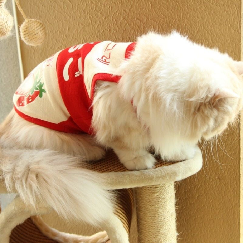Cute Milk Clothes for Cats