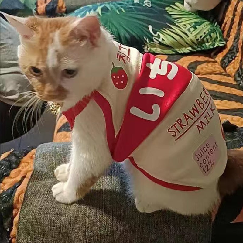 Cute Milk Clothes for Cats