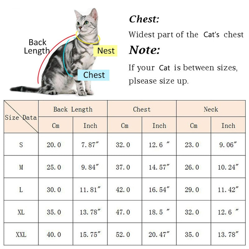 Cute Milk Clothes for Cats