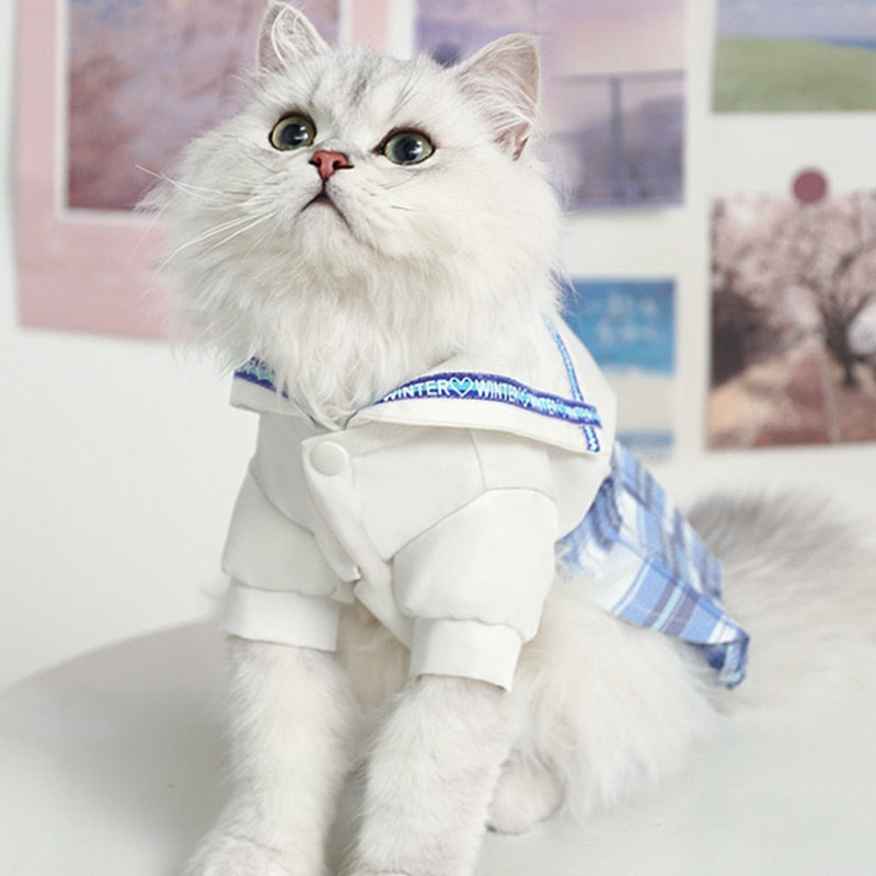 Cute Summer Clothes for Cats