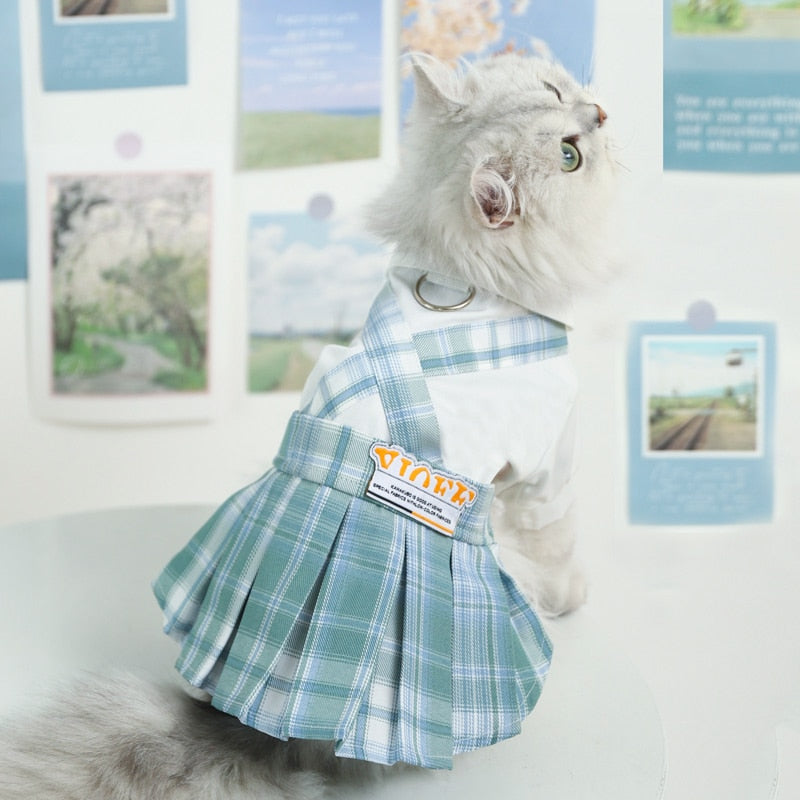 Cute Summer Clothes for Cats
