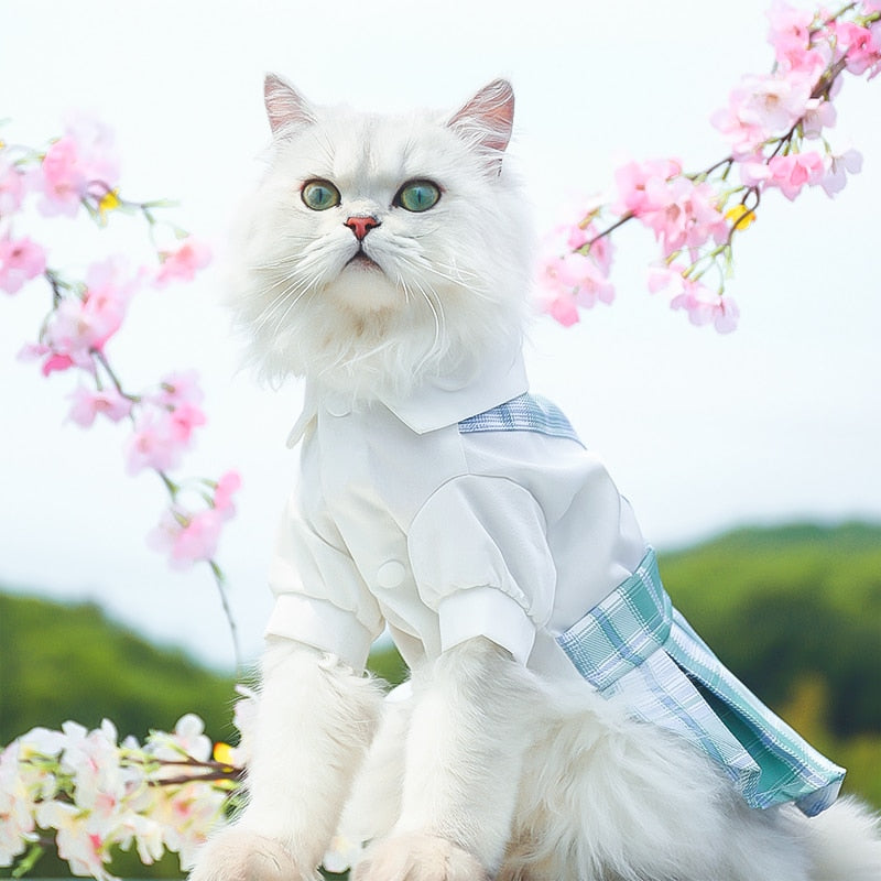 Cute Summer Clothes for Cats