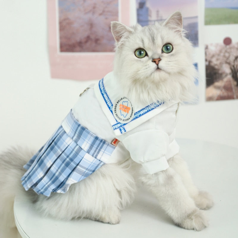 Cute Summer Clothes for Cats